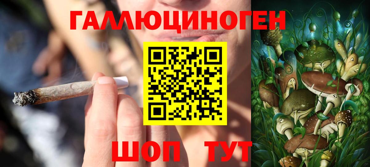 закладки  Псилоцибиновые грибы GOLDEN TEACHER  Вход с VPN  Галлюциногенные грибы MAGIC MUSHROOMS  Сосновоборск 